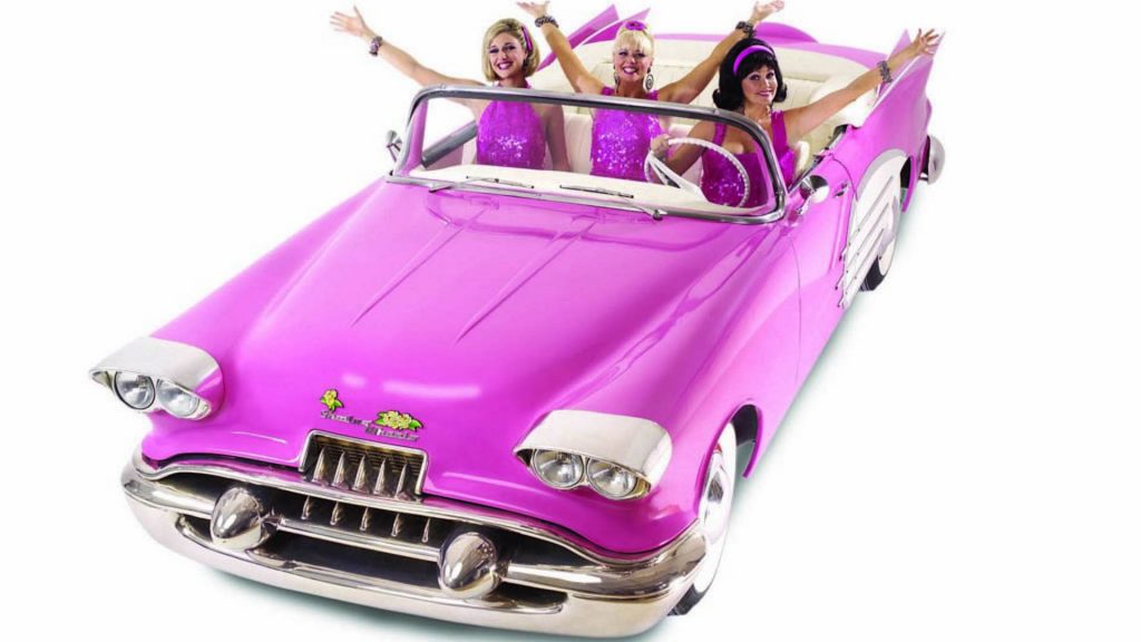 özel direksiyon dersi ücretleri ankara